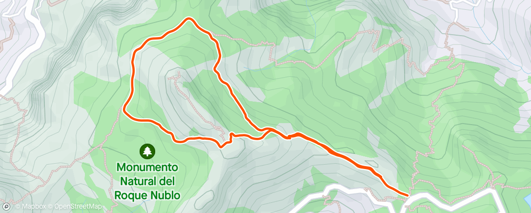 Map of the activity, Rundt Roque Nublo med Lene