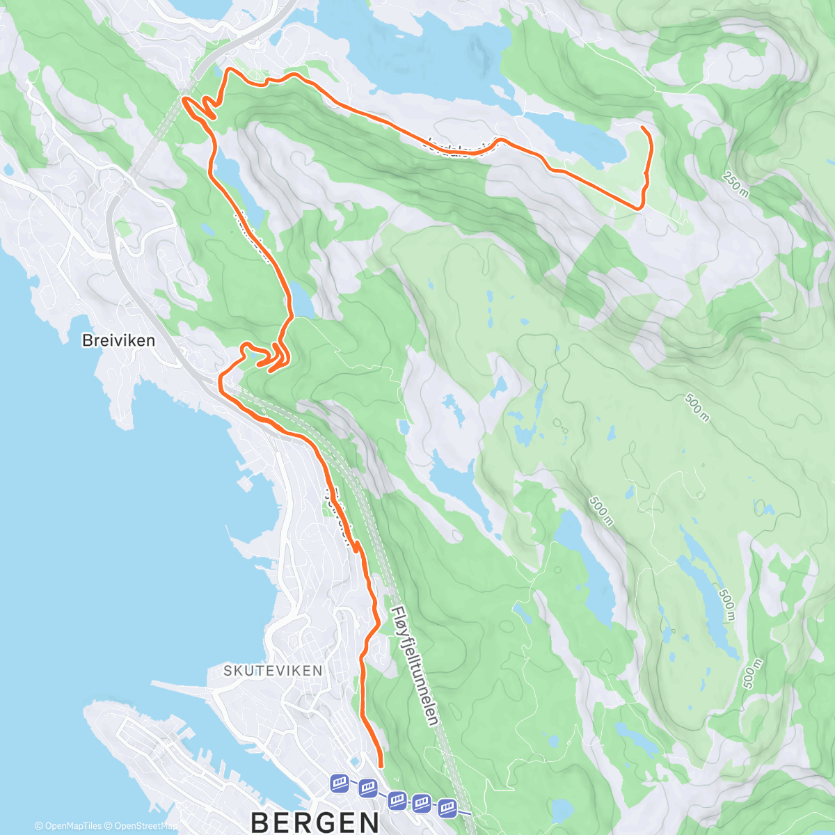 Mapa de la actividad, Liver pate taco and Oboy recovery run
