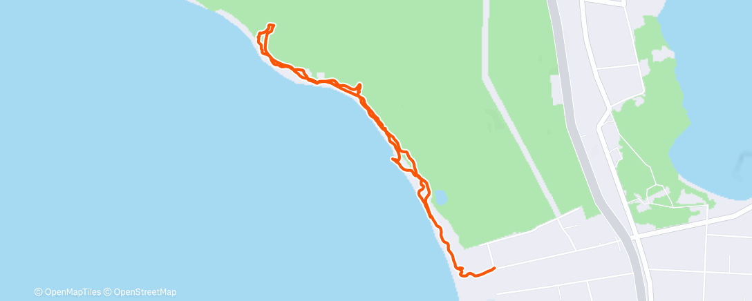 Карта физической активности (Утренняя прогулка)