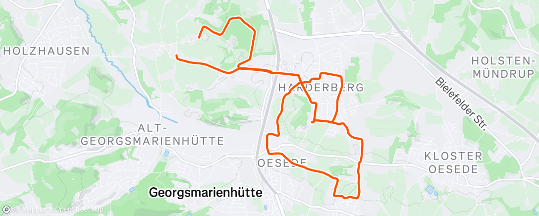Map of the activity, Morning Run