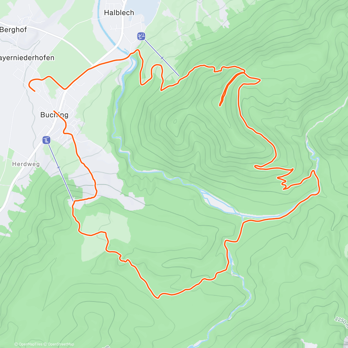 Map of the activity, Morning Trail Run