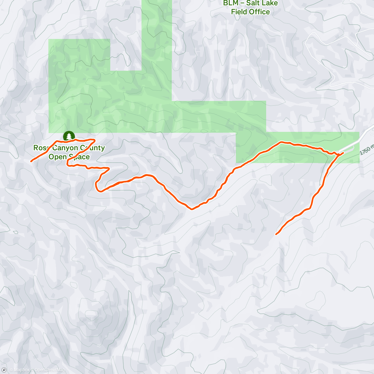 Map of the activity, Morning Run