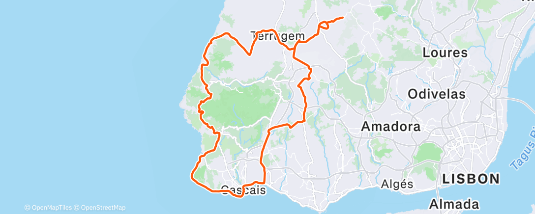 Карта физической активности (Morning Ride)