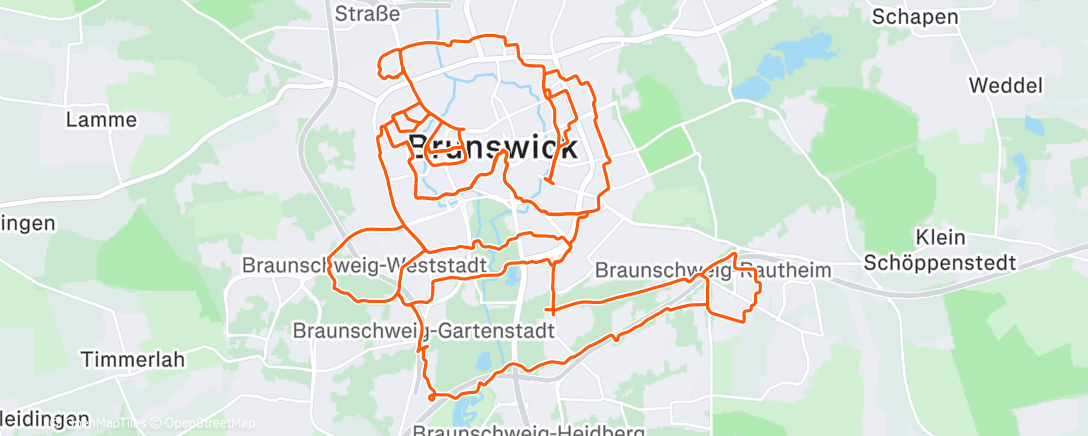 Map of the activity, Mickey Mouse 🐭🎅