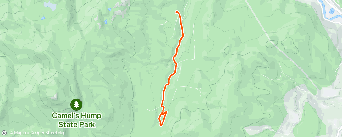 Map of the activity, Morning Run