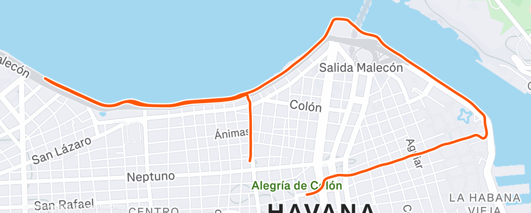 Map of the activity, Morning Run