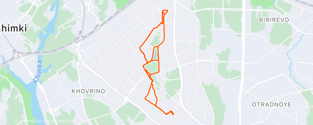 Карта физической активности (Дневной забег)