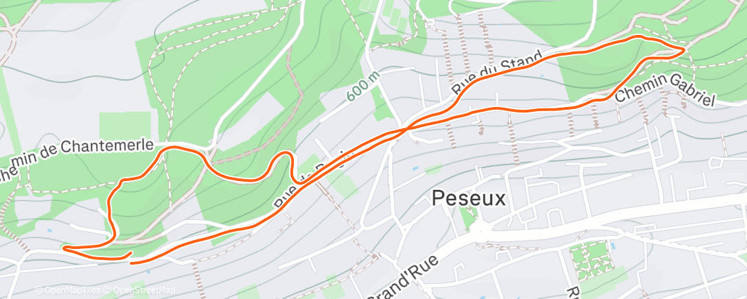 Map of the activity, Afternoon Run