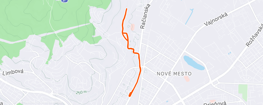 Map of the activity, Afternoon Run
