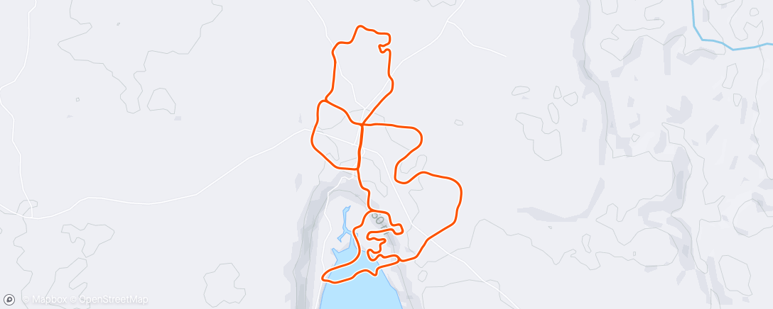 Mappa dell'attività ed-training (semi-nuchter)