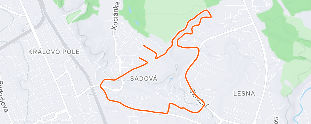 Map of the activity, Morning Trail Run