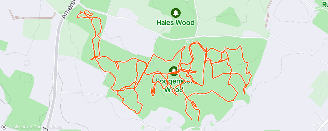 Map of the activity, Orienteering at Hodgemoore