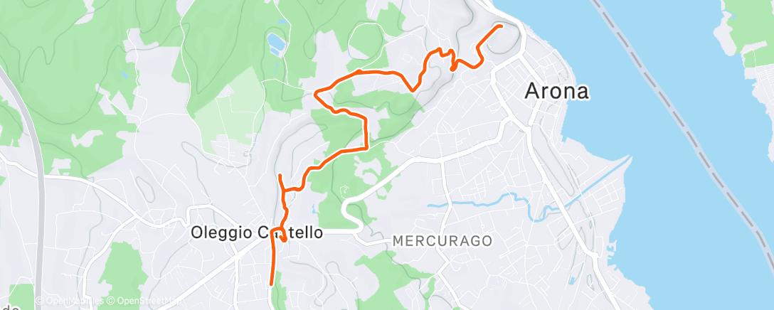 Карта физической активности (Sessione di corsa serale)