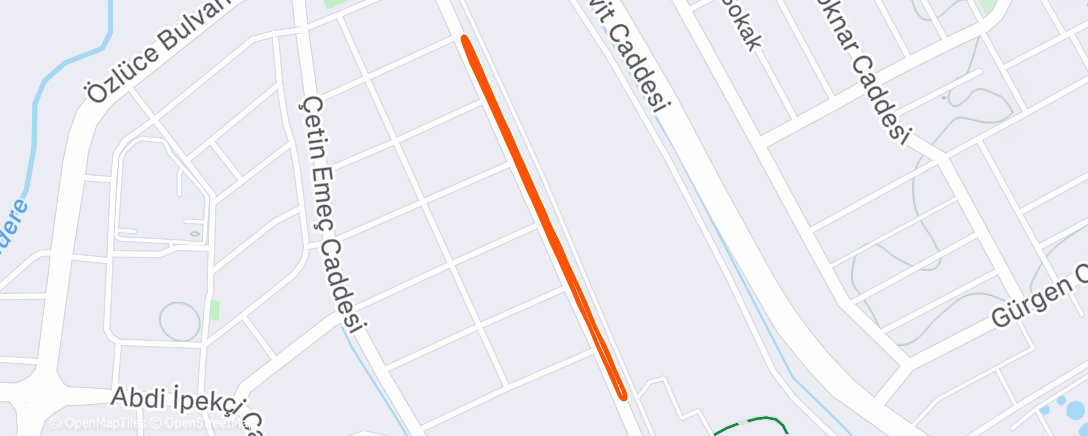 Карта физической активности (Lunch Run)