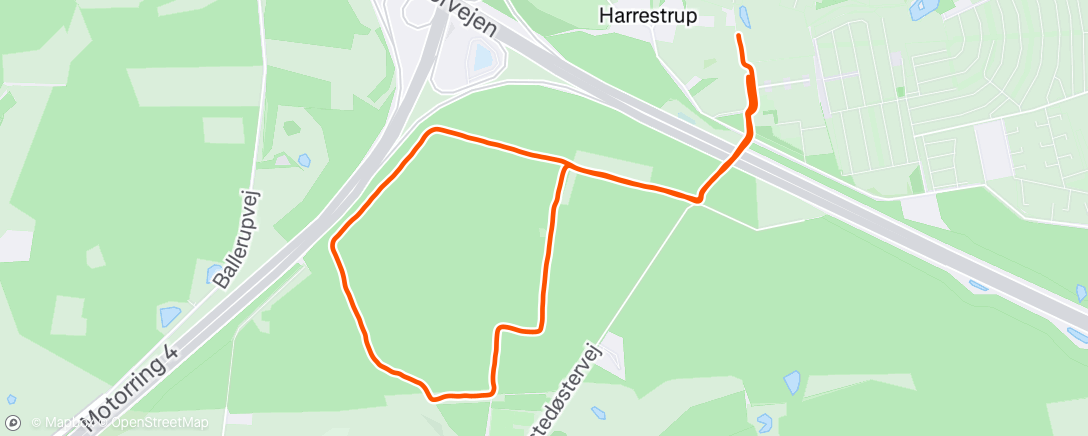 Map of the activity, Evening Run