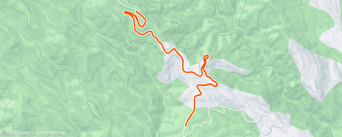 Map of the activity, Morning Run