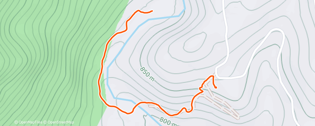 Карта физической активности (PNI)