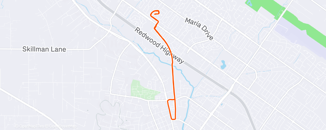 Map of the activity, Morning Run