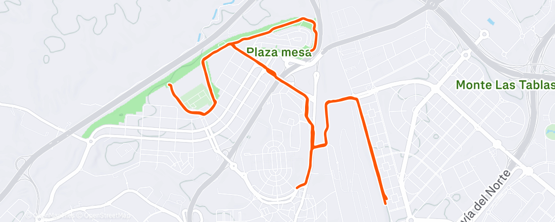 Карта физической активности (Morning Run)