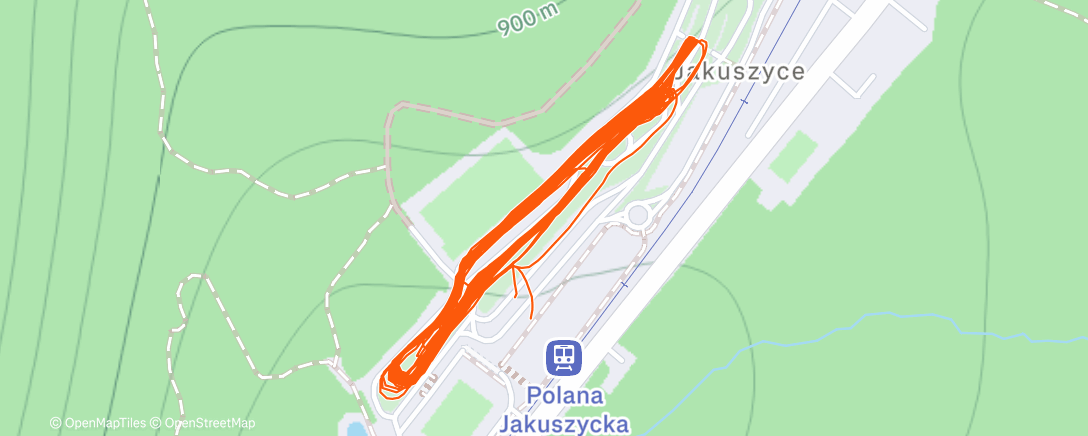 Карта физической активности (Afternoon Nordic Ski)