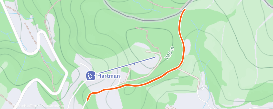 Карта физической активности (🐕🐕)