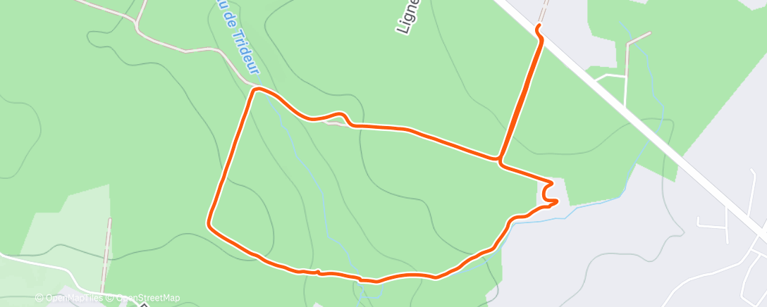 Карта физической активности (Triquot)