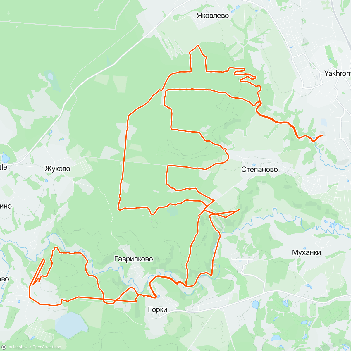 アクティビティ「Alpindustria Moscow Trail Marathon 42」の地図
