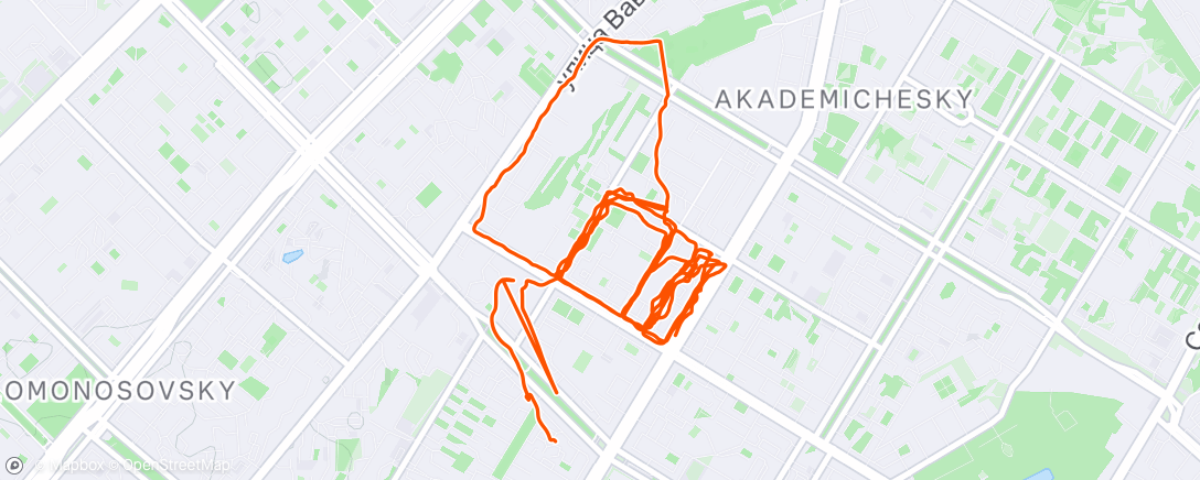 Map of the activity, Morning Run