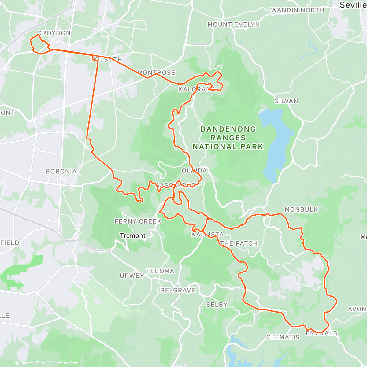 Map of the activity, Twisted dlaremE