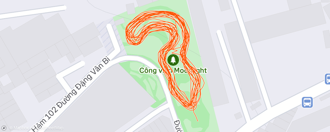 Map of the activity, Evening Run