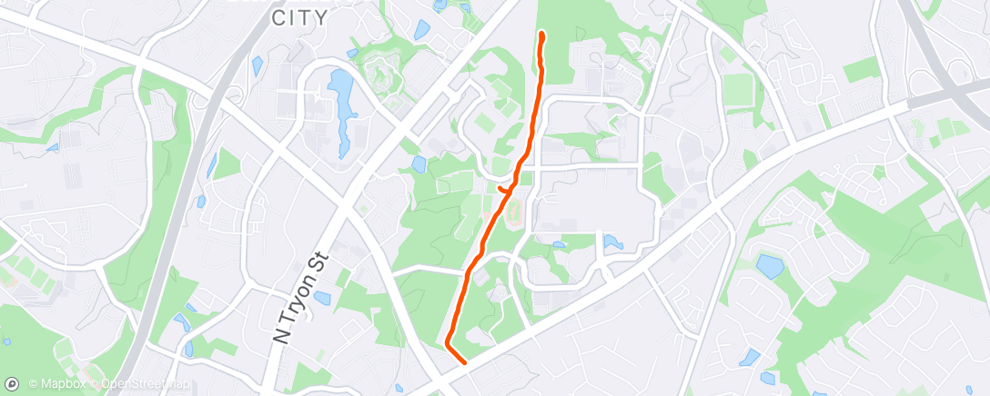 Map of the activity, Morning Run