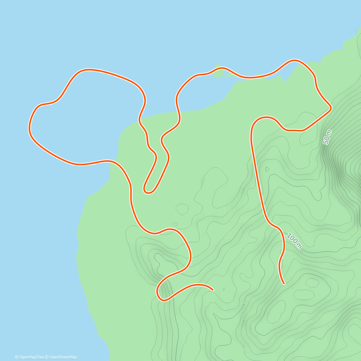 Карта физической активности (Zwift - 5K Loop in Watopia)