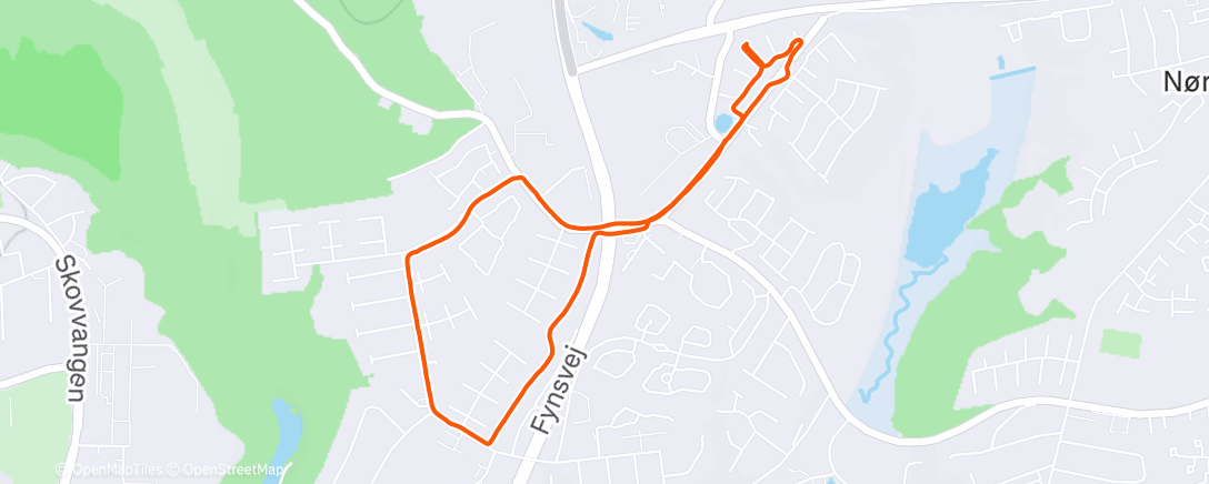 Карта физической активности (Morning Run)