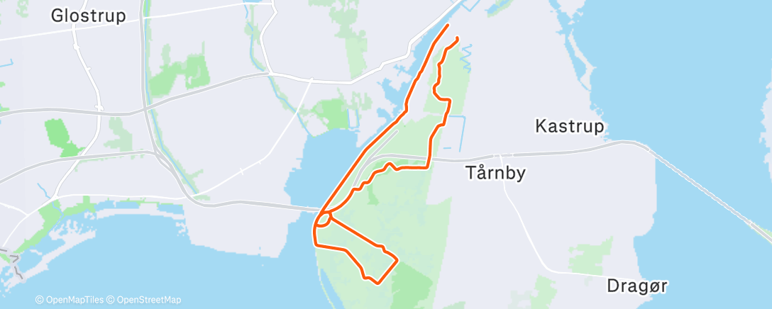 Карта физической активности (Morning Ride)