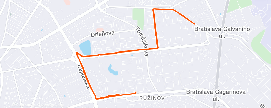 Карта физической активности (Evening Run)