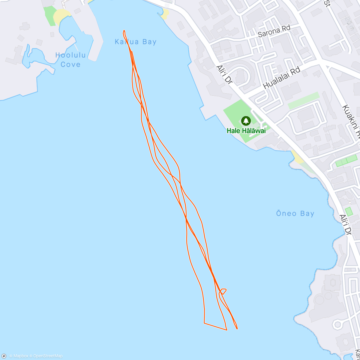 Map of the activity, Morning Swim