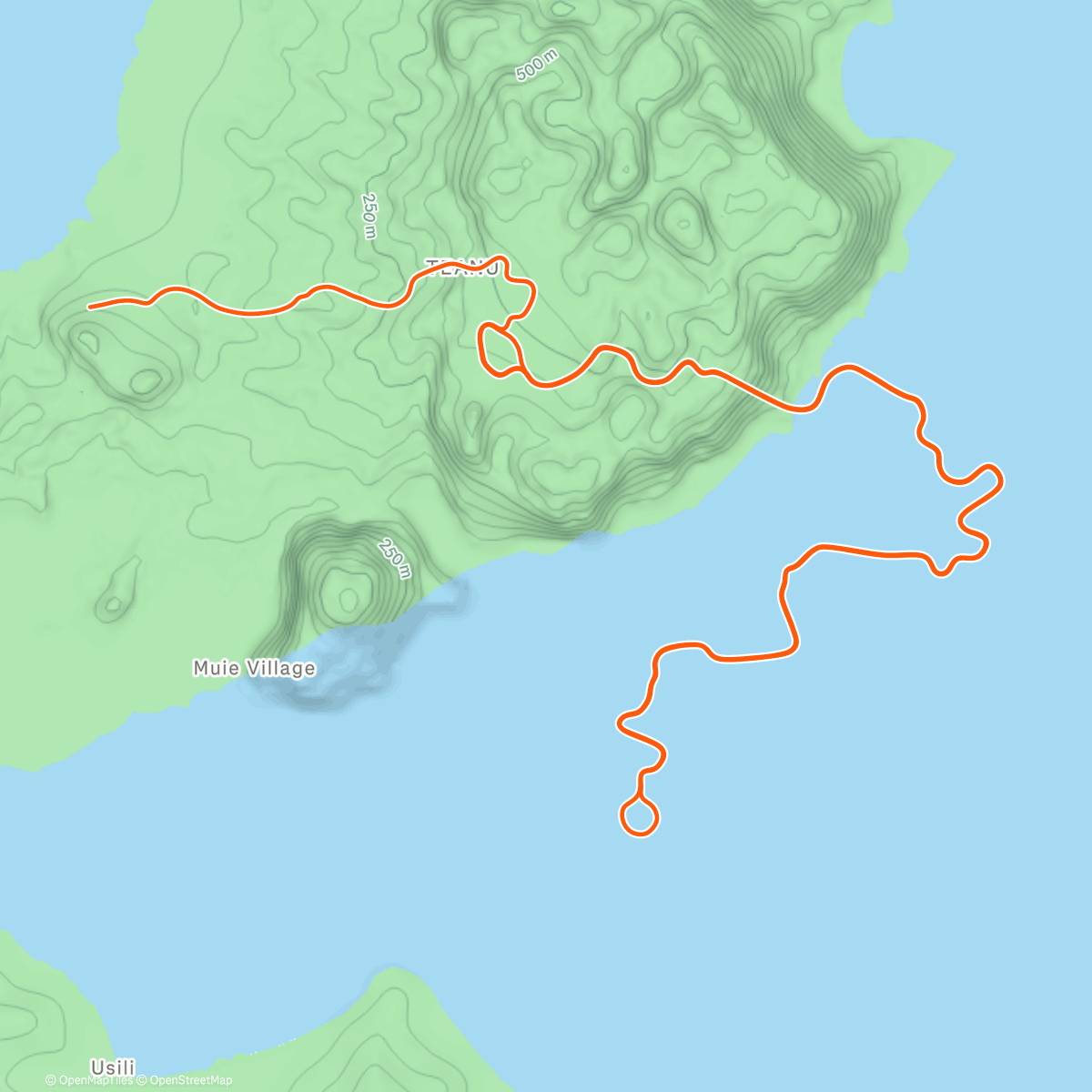 Map of the activity, Zwift - Flat Out Fast in Watopia