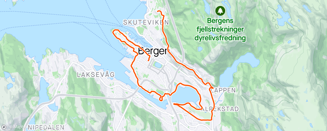 Map of the activity, Preppe Sellevoll for BCM
