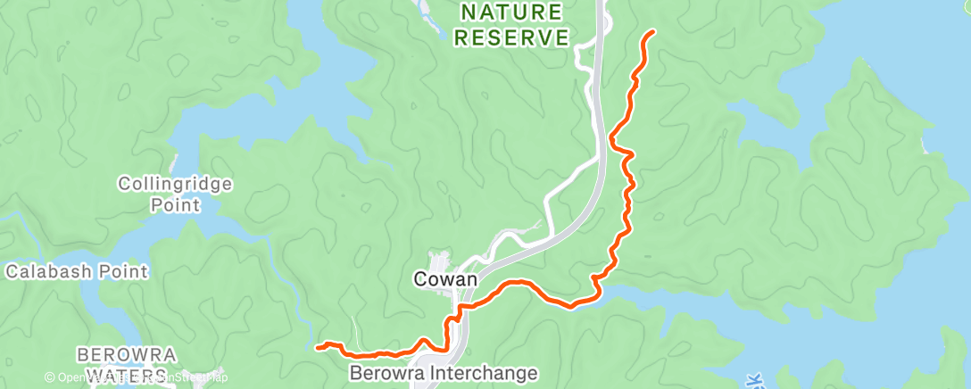 Map of the activity, Morning Trail Run