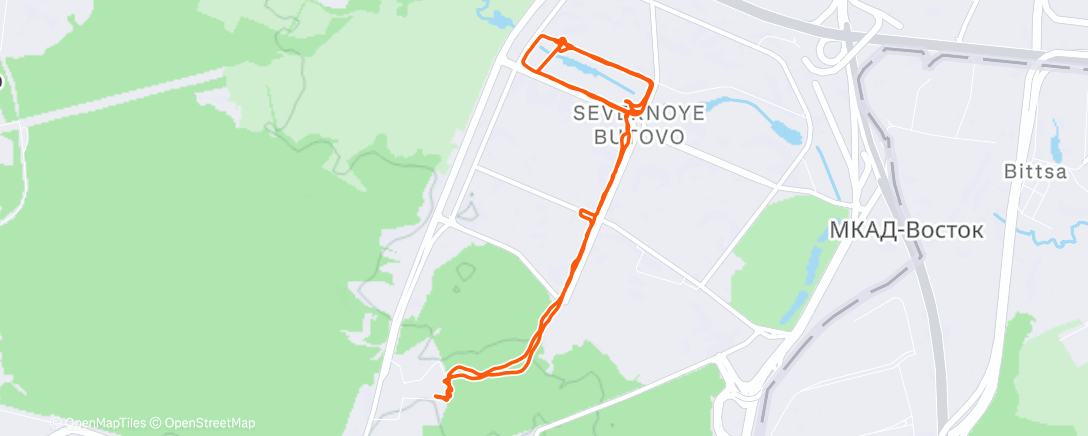 Map of the activity, Утренний забег