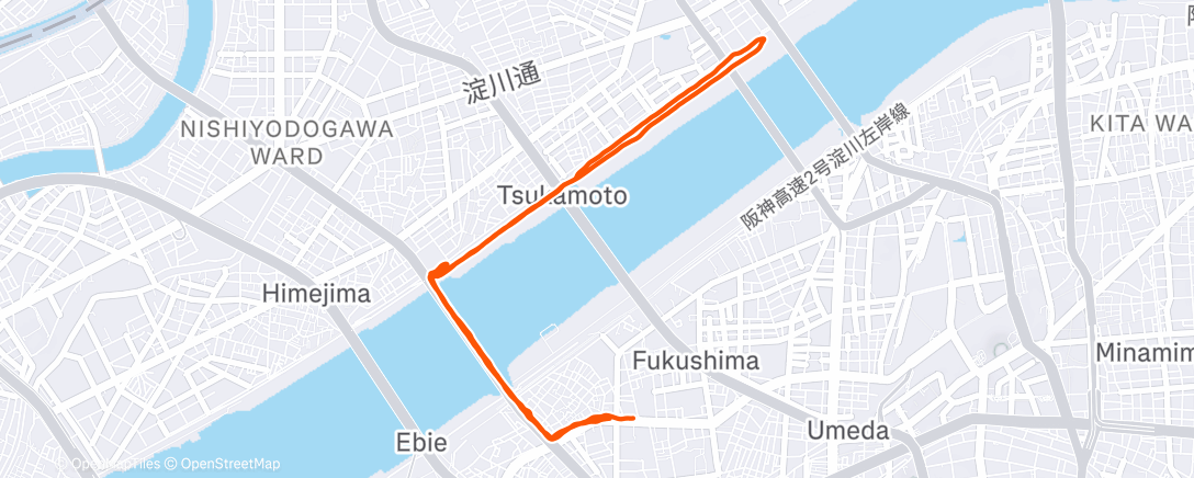 Map of the activity, MAF🐢