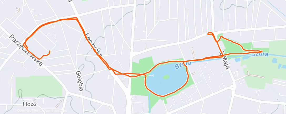 Карта физической активности (Lunch Run)