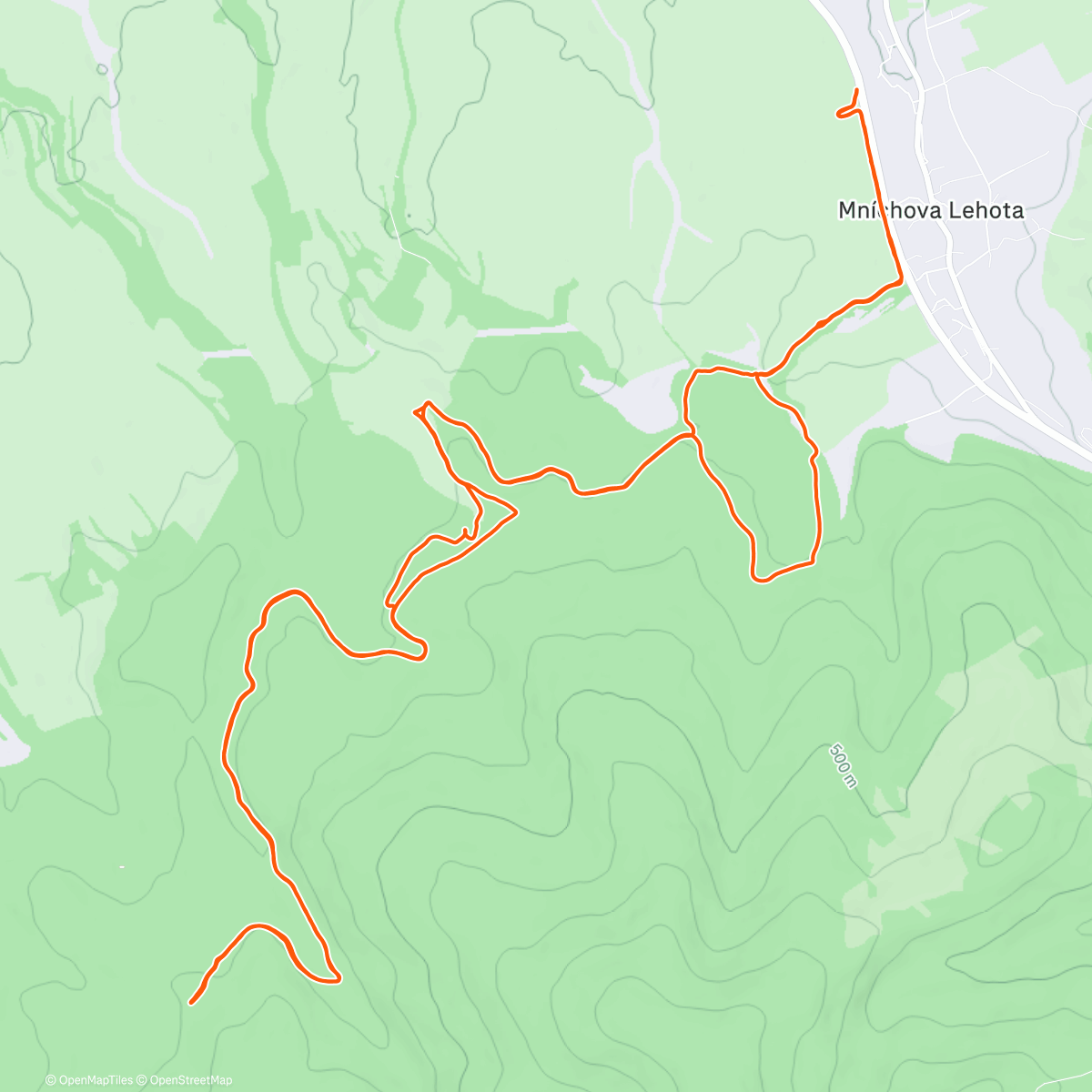 Карта физической активности (Afternoon Trail Run)