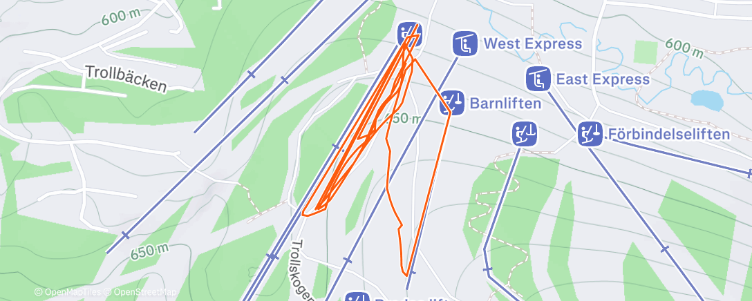 Карта физической активности (Afternoon Alpine Ski)