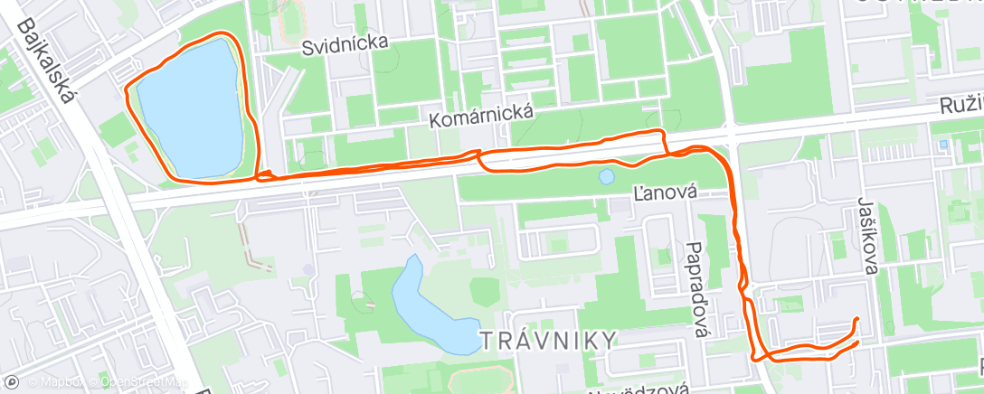 Map of the activity, Morning Run