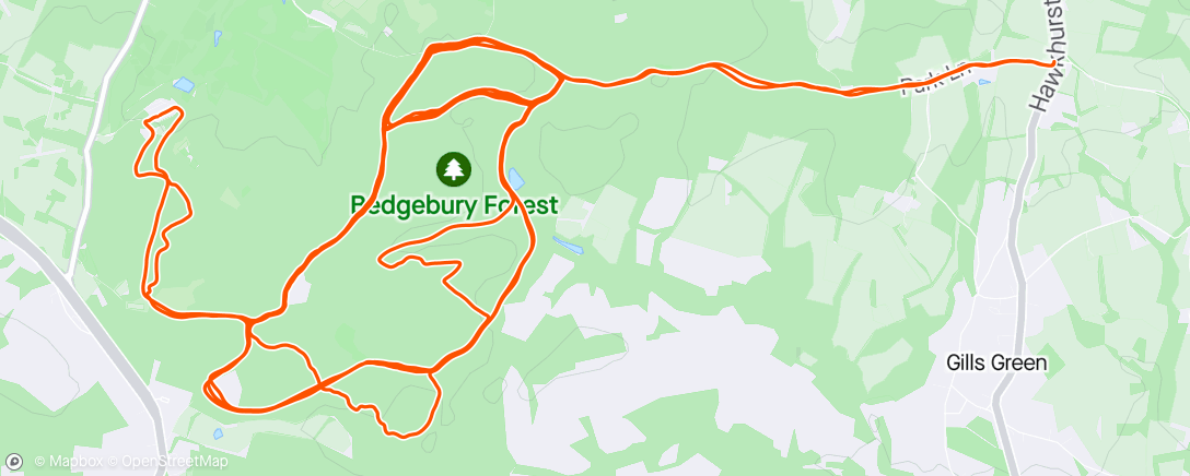 Map of the activity, Bedgebury Forest Spring Training (Red and Blue routes)