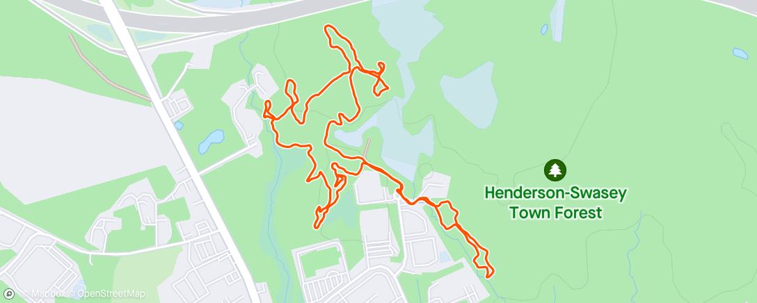 Map of the activity, Dog walkies