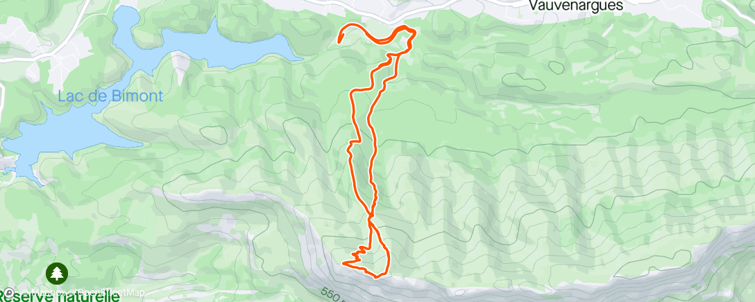 アクティビティ「Evening Trail Run」の地図