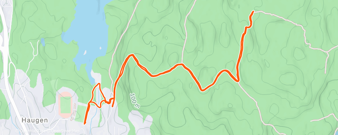 Map of the activity, Dronningen