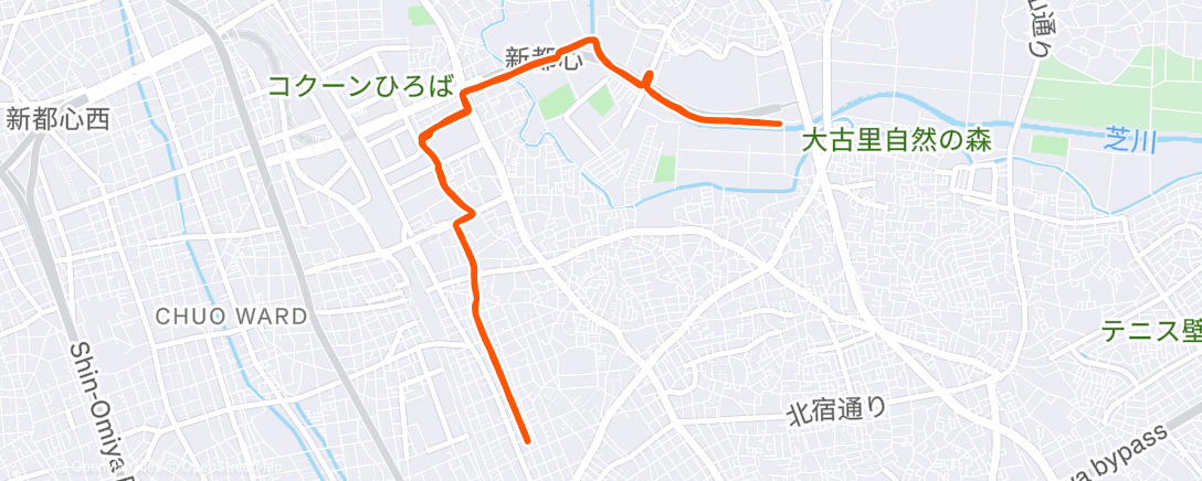 Карта физической активности (午後のランニング)